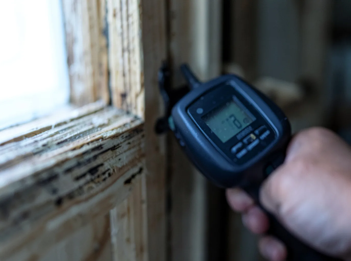 Commercial Water Damage Restoration in Alpine, TX